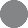 Moondust Silver Metallic
