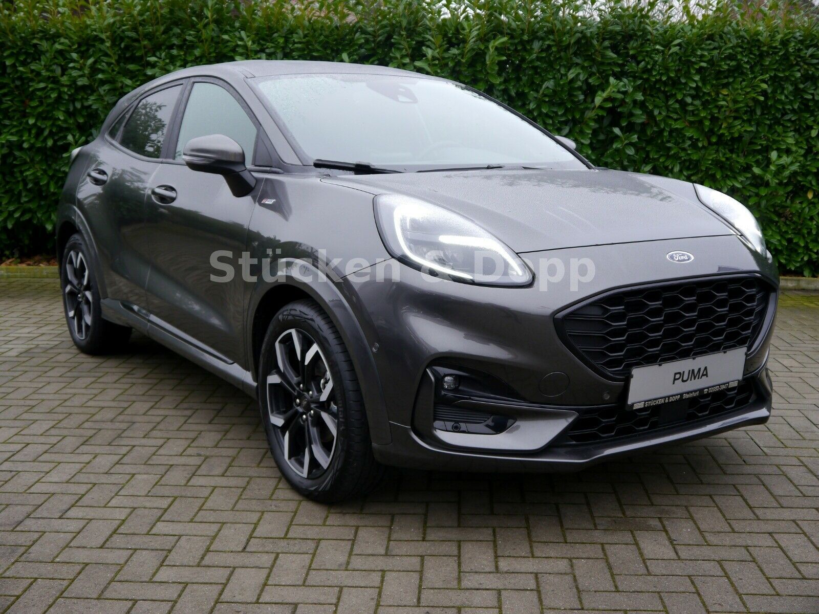 Fahrzeugabbildung Ford Puma 1.5 EcoBlue ST-Line X *Dienstwagen* + ACC+.