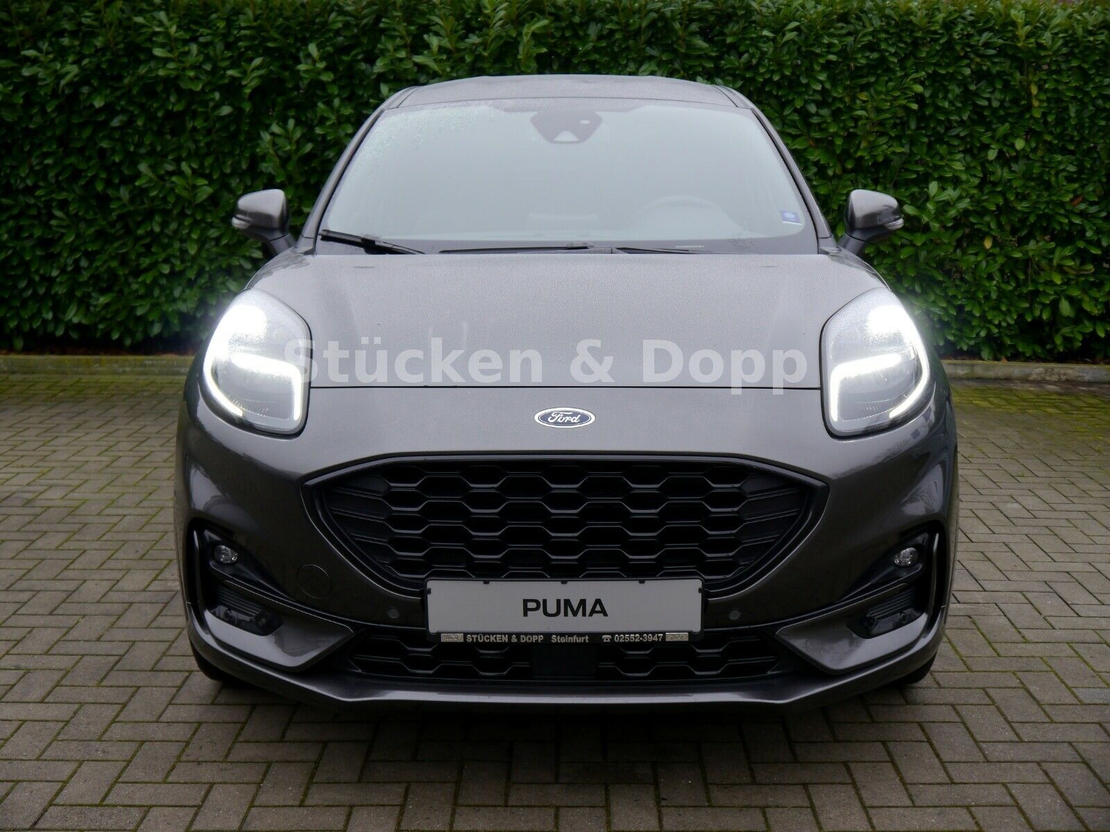 Fahrzeugabbildung Ford Puma 1.5 EcoBlue ST-Line X *Dienstwagen* + ACC+.