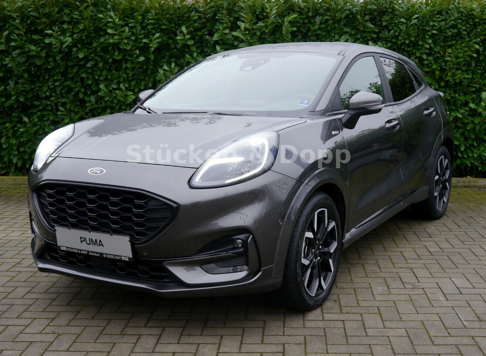 Fahrzeugabbildung Ford Puma 1.5 EcoBlue ST-Line X *Dienstwagen* + ACC+.
