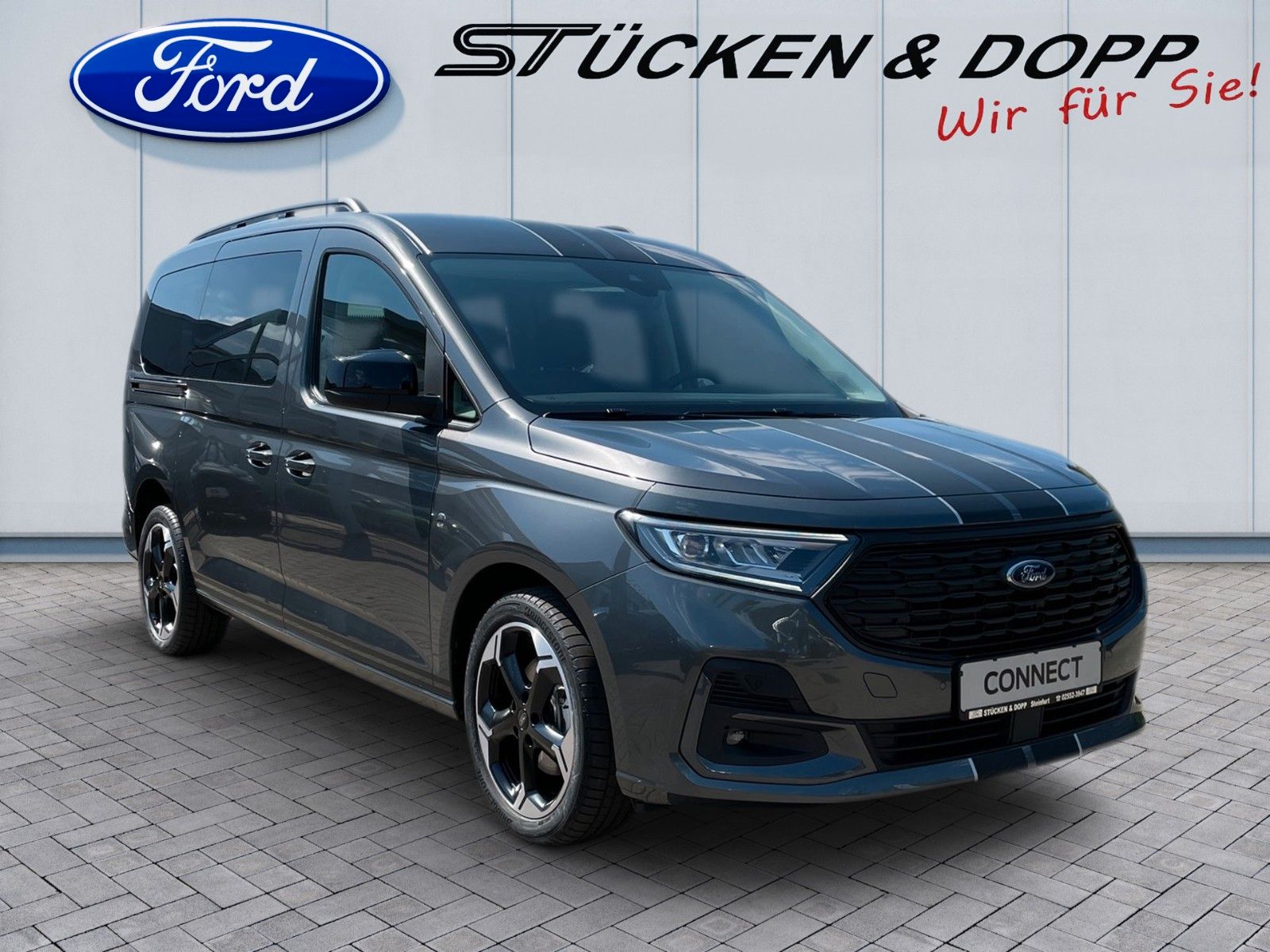 Ford Ford G. Connect Tourneo 2.0 EcoBlue *Rollstuhl*+