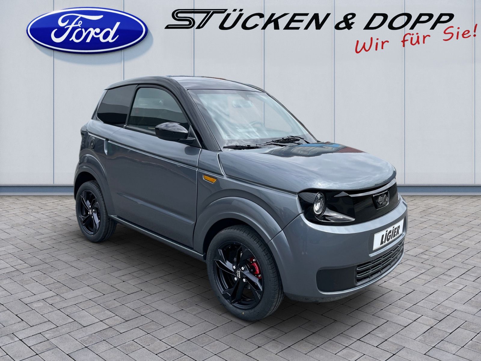 Fahrzeugabbildung Ligier Myli E.pic