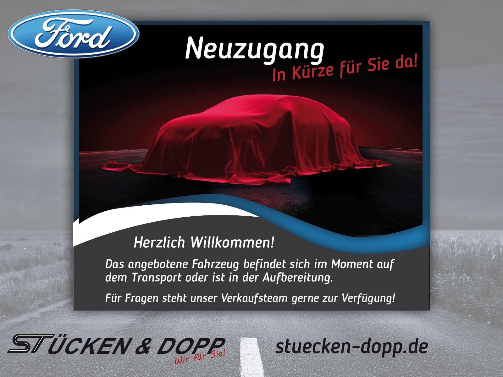Ford Nugget Plus AD 40 Jahre Edition