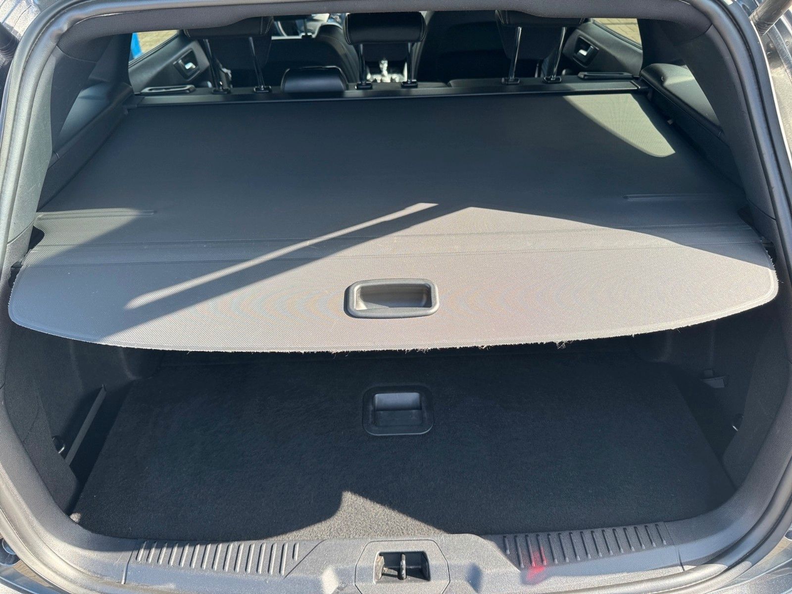 Fahrzeugabbildung Ford Focus Turnier 2.3 EcoBoost ST+Styling-Paket+ACC+