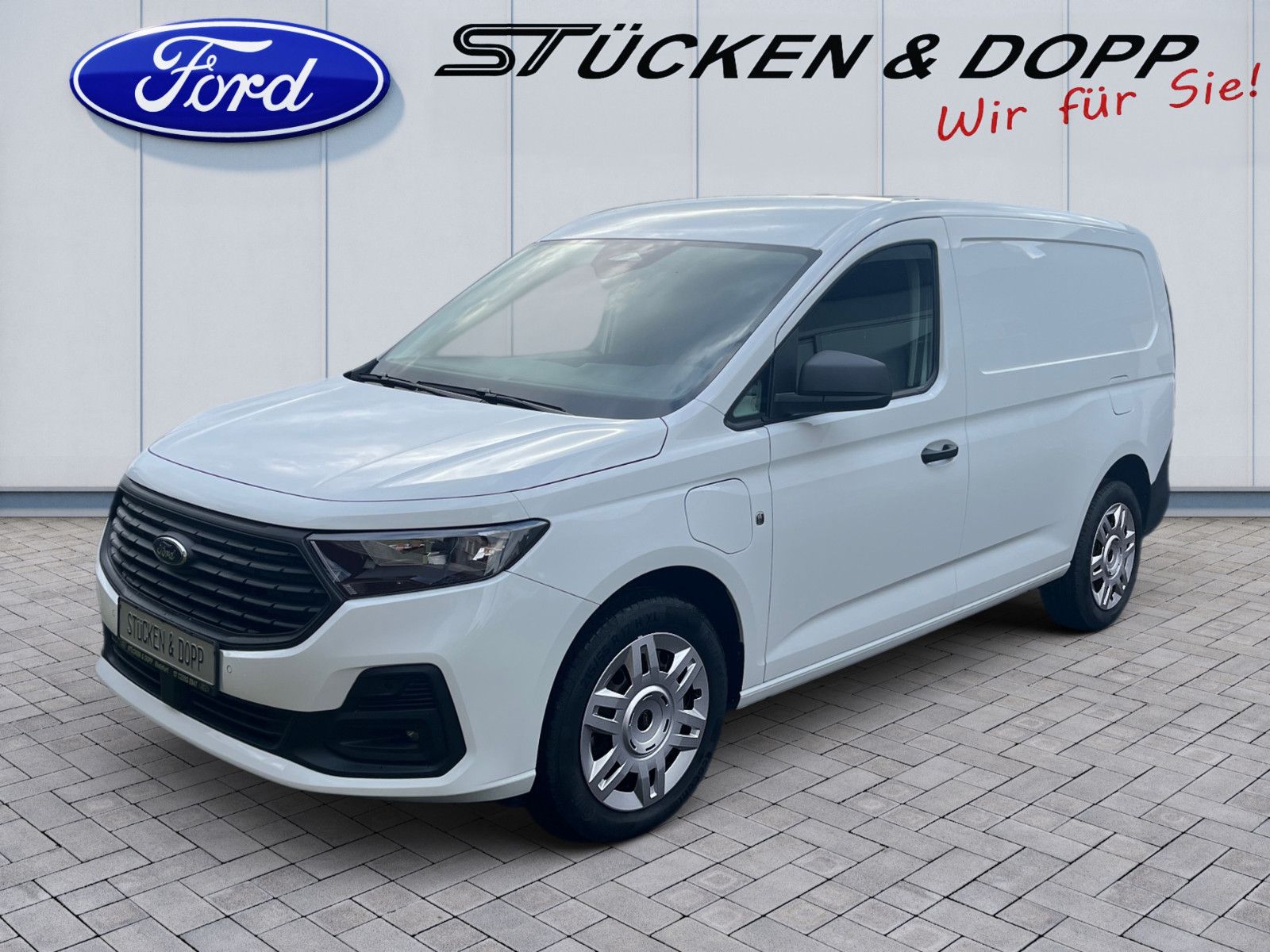 Ford Grand Transit Connect