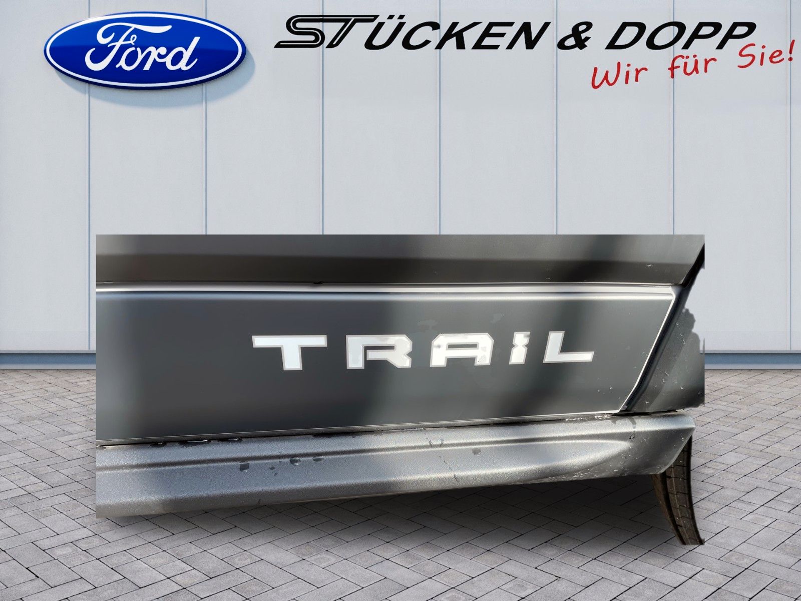 Fahrzeugabbildung Ford TRAIL Transit BTW. Rollstuhltransport MobilTec