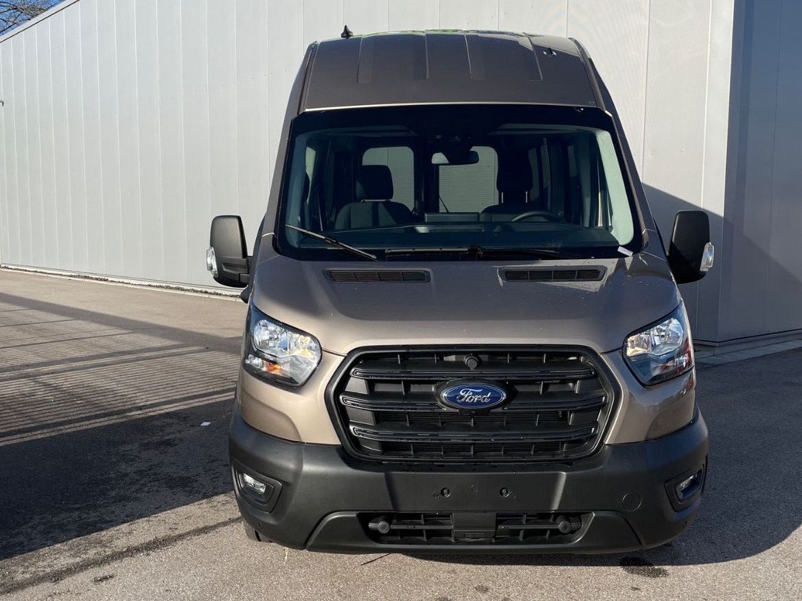 Fahrzeugabbildung Ford Transit BTW. Rollstuhltransport MobilTec