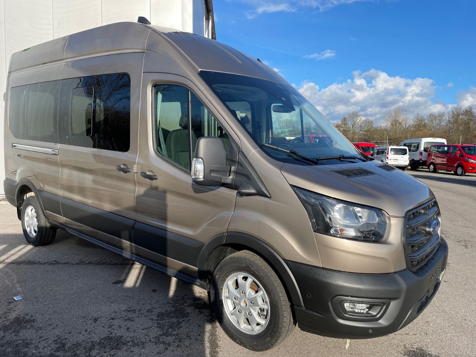 Fahrzeugabbildung Ford Transit BTW. Rollstuhltransport MobilTec