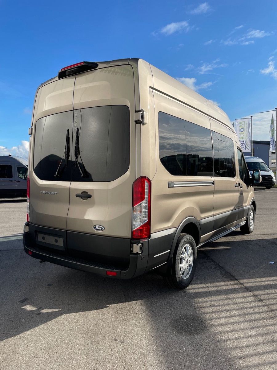 Fahrzeugabbildung Ford Transit BTW. Rollstuhltransport MobilTec